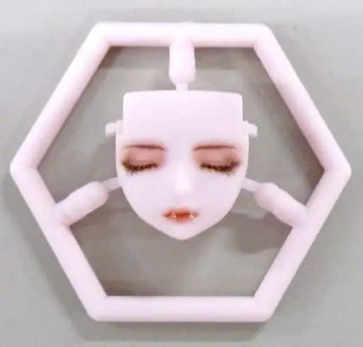 Plastic Model Parts - chitocerium