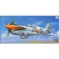1/72 Scale Model Kit - Fighter aircraft model kits / Curtiss P-40