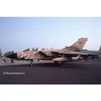 1/32 Scale Model Kit - Fighter aircraft model kits / Panavia Tornado