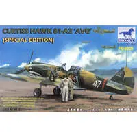 1/48 Scale Model Kit - Fighter aircraft model kits / Curtiss P-40 Warhawk