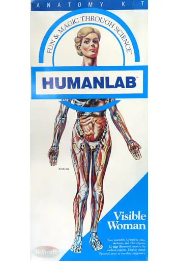 Plastic Model Kit - HUMANLAB