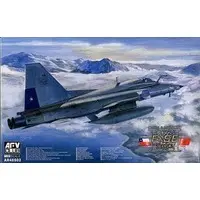 1/48 Scale Model Kit - Fighter aircraft model kits / F-5E