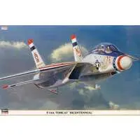 1/48 Scale Model Kit - Fighter aircraft model kits / F-14