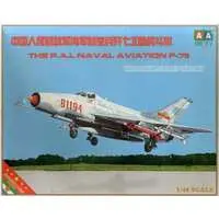 1/48 Scale Model Kit - People's Liberation Army