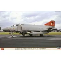 1/48 Scale Model Kit - Fighter aircraft model kits