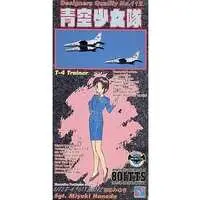 1/72 Scale Model Kit - Aozora Shoujo-tai (801 T.T.S. Airbats)
