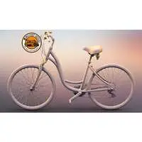 1/72 Scale Model Kit - Bicycle