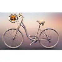 1/48 Scale Model Kit - Bicycle