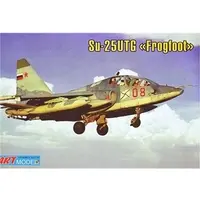 1/72 Scale Model Kit - Sukhoi