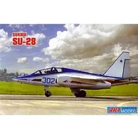 1/72 Scale Model Kit - Sukhoi