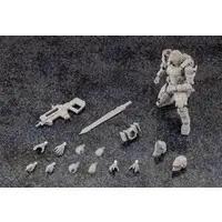 1/24 Scale Model Kit - HEXA GEAR