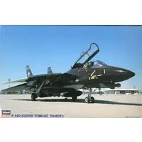 1/72 Scale Model Kit - Fighter aircraft model kits / F-14