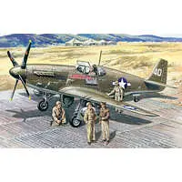 1/48 Scale Model Kit - Fighter aircraft model kits / North American P-51 Mustang