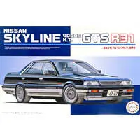 1/24 Scale Model Kit - NISSAN / SKYLINE