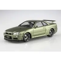 1/24 Scale Model Kit - PRE-PAINTED MODEL / SKYLINE