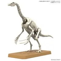 Planosaurus - Dinosaur Model Kits