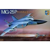 1/72 Scale Model Kit - Fighter aircraft model kits