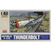 1/48 Scale Model Kit - Fighter aircraft model kits / P-47 Thunderbolt