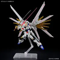 Gundam Models - MOBILE SUIT GUNDAM SEED / Strike Freedom Gundam