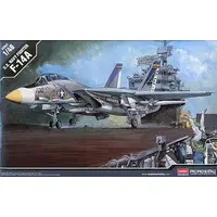 1/48 Scale Model Kit - Fighter aircraft model kits / F-14