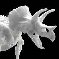 Plastic Model Kit - Dinosaur skeleton model kit