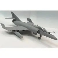 1/48 Scale Model Kit - Fighter aircraft model kits / British Aerospace Sea Harrier