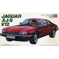 1/24 Scale Model Kit - Jaguar