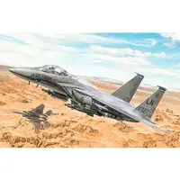 1/48 Scale Model Kit - Fighter aircraft model kits / F-15 Strike Eagle