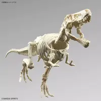 Planosaurus - Dinosaur Model Kits