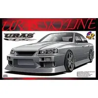 1/24 Scale Model Kit - NISSAN / SKYLINE