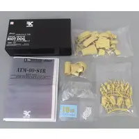 1/20 Scale Model Kit - Trans kit series