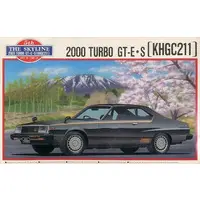 1/24 Scale Model Kit - NISSAN / SKYLINE