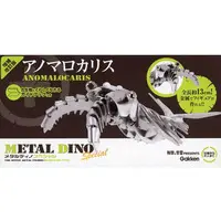 Plastic Model Kit - Skeleton model