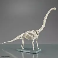 Planosaurus - Dinosaur Model Kits