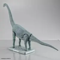 Planosaurus - Dinosaur Model Kits