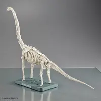 Planosaurus - Dinosaur Model Kits