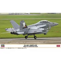 1/72 Scale Model Kit - Electronic-warfare aircraft / Boeing EA-18G Growler