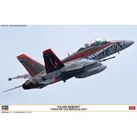 1/48 Scale Model Kit - Fighter aircraft model kits / F/A-18 Hornet