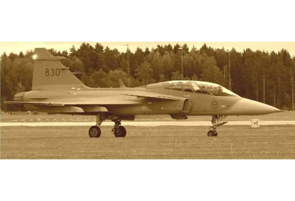 1/48 Scale Model Kit - Fighter aircraft model kits / Saab JAS 39 Gripen