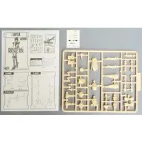 Plastic Model Kit - GENEBLOCK