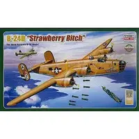 1/72 Scale Model Kit - Bomber / Consolidated B-24 Liberator