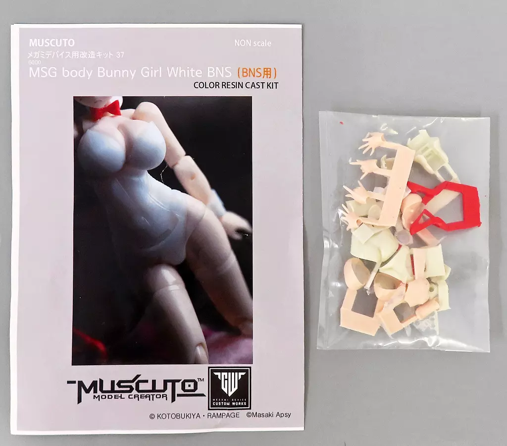 Plastic Model Parts - Resin cast kit - MEGAMI DEVICE