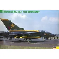 1/72 Scale Model Kit - Fighter aircraft model kits / Panavia Tornado