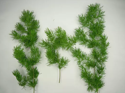 Plastic Model Kit - Castle/Building/Scene