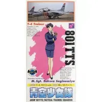 1/72 Scale Model Kit - Aozora Shoujo-tai (801 T.T.S. Airbats)