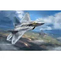 1/48 Scale Model Kit - Fighter aircraft model kits / YF-23