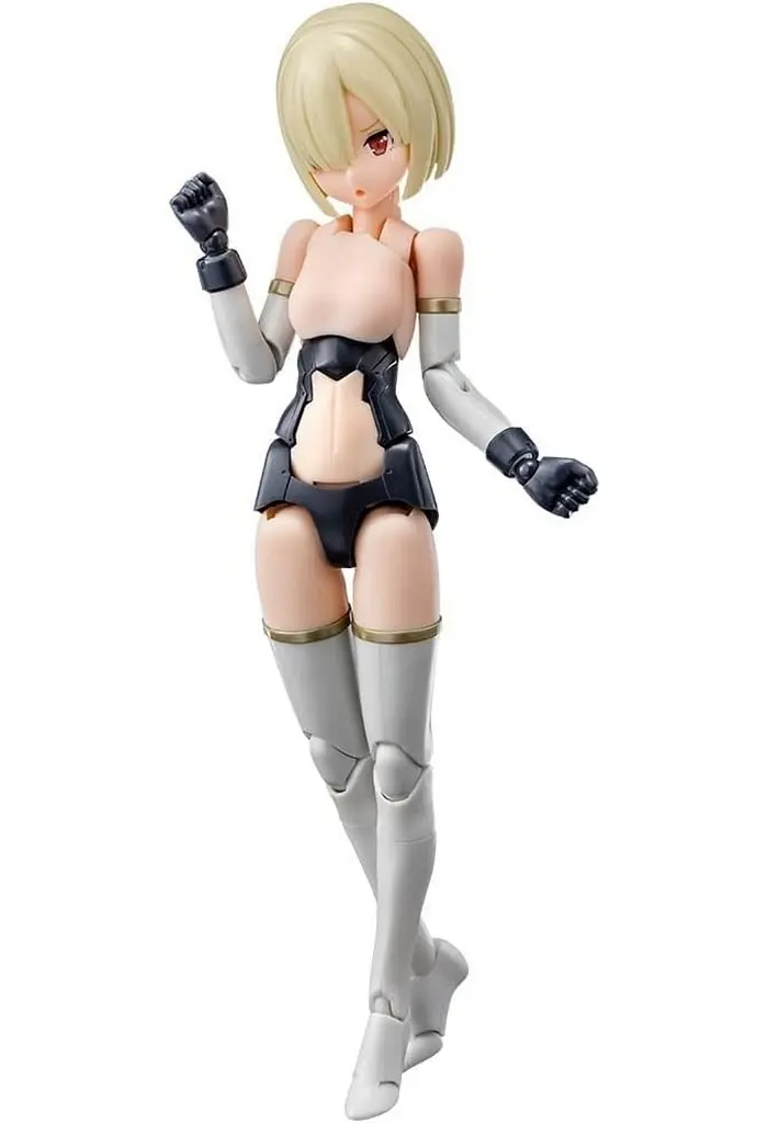 Plastic Model Parts - MEGAMI DEVICE