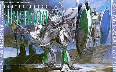 1/100 Scale Model Kit - The Five Star Stories