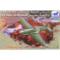 1/48 Scale Model Kit - Fighter aircraft model kits / Curtiss P-40 Warhawk