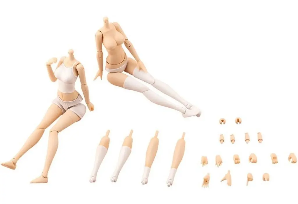 Tiny Closet - MEGAMI DEVICE / Koyomi Takanashi